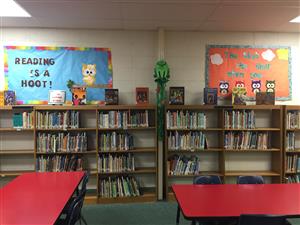 Library picture 